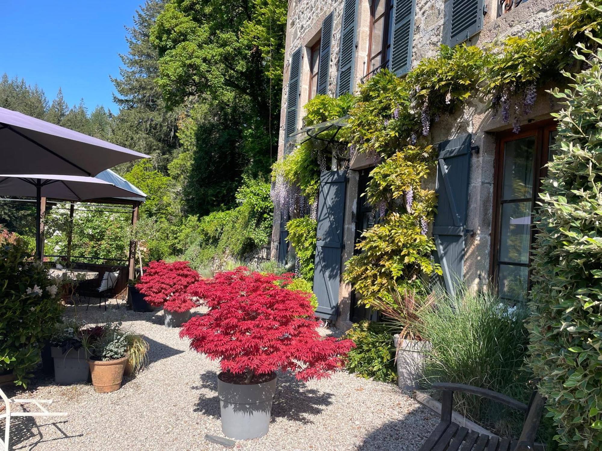 Le Moulin Des Farges Bed & Breakfast Meymac Екстериор снимка